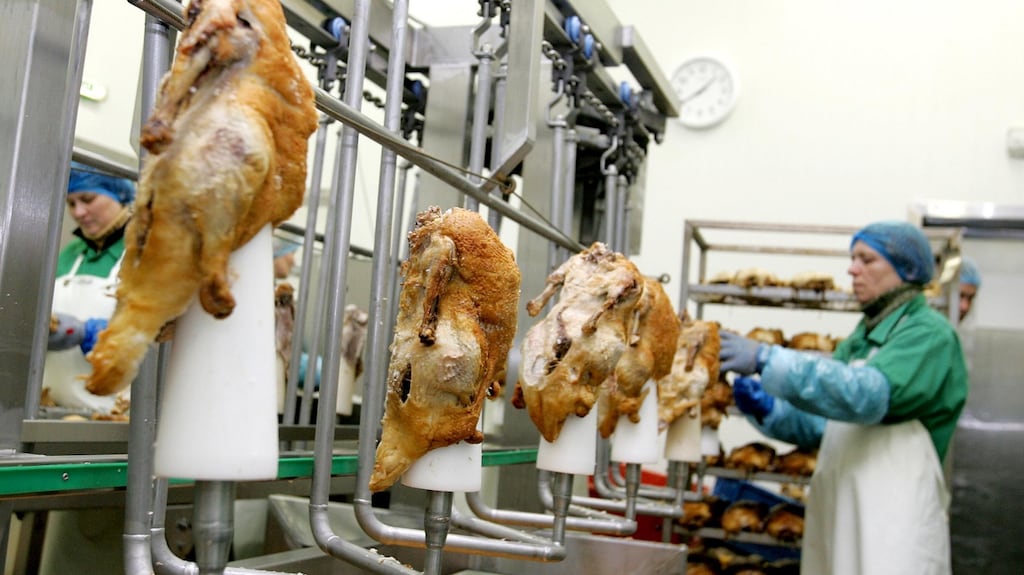 Duck being prepared and packed at Fane Valley's Silver Hill Foods plant in Emyvale Co Monaghan, which supplies 98 per cent of the European market for head-on ducks. Photograph: David Sleator