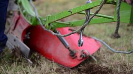 Stradbally to see influx of visitors for ploughing championships