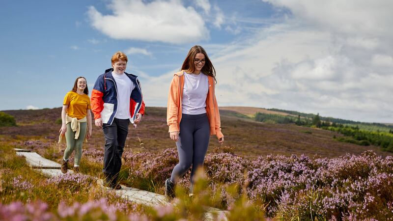 The Ridge of Capard, Slieve Bloom, offers an impressive boardwalk route.