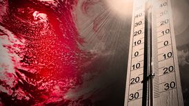 Global temperatures set to reach new records by 2027, UN body warns