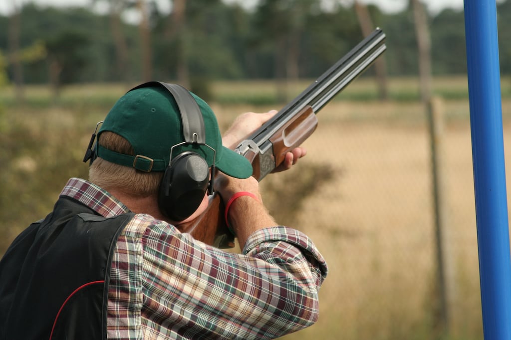 Bray Clay Pigeon Club is among the objectors to a planned development in the Co Wicklow town. Photograph: iStock