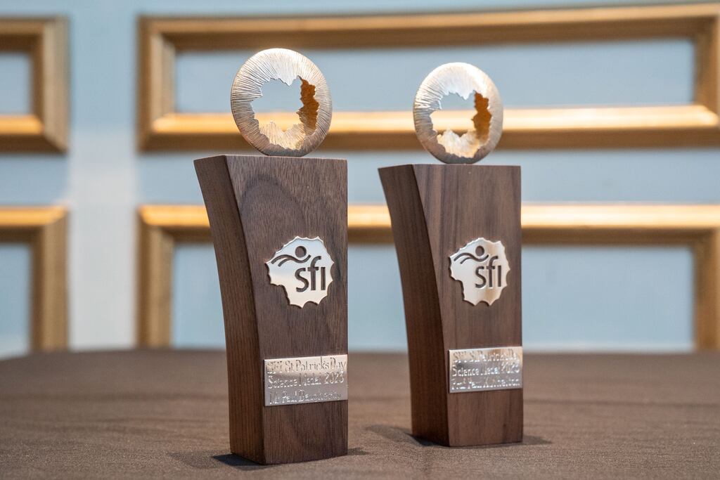 SFI St Patrick's Day Science Medal recognises individuals who are not only outstanding in their fields of expertise, but who also have demonstrably assisted researchers in Ireland in either academia or industry.