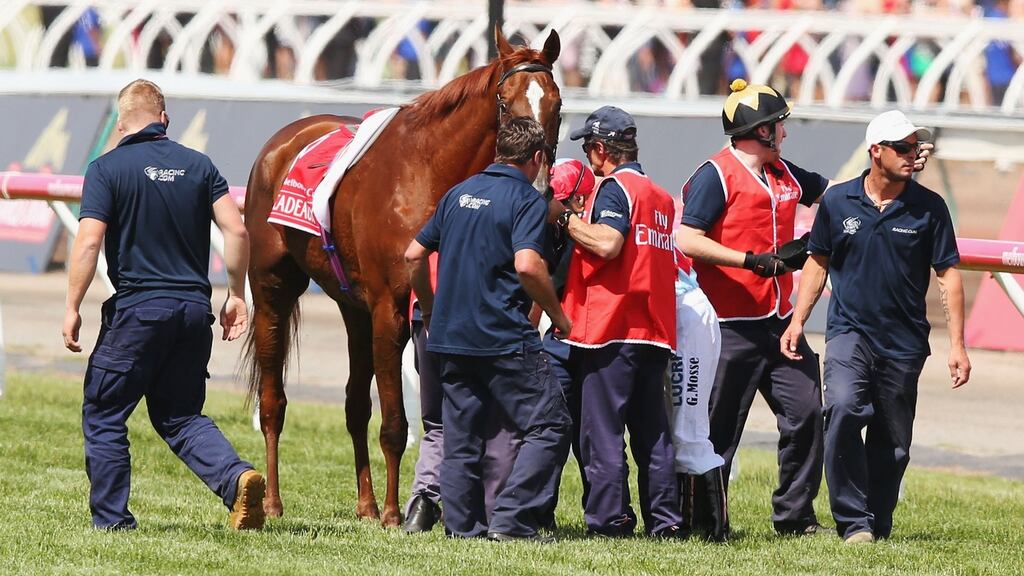 Red Cadeaux is assisted after pulling up lame in the Emirates Melbourne Cup at Flemington Racecourse. Photo: Michael Dodge/Getty Images