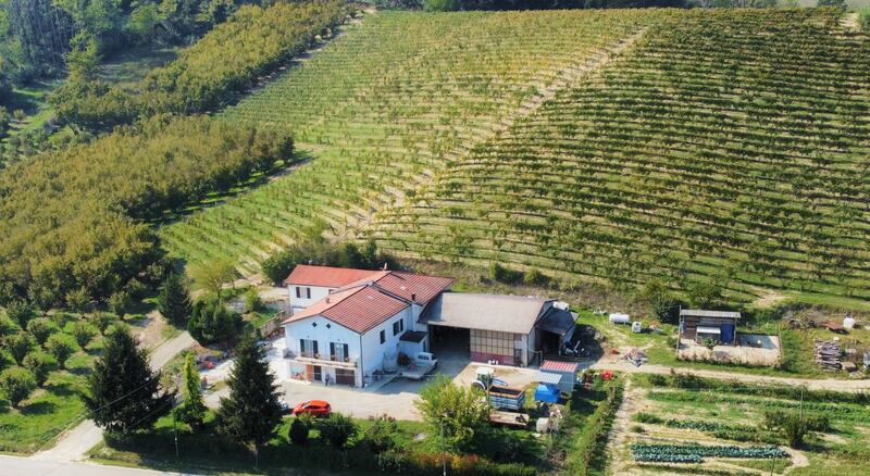 This Nizza Monferrato vineyard is planted with grapes and hazelnuts