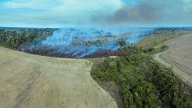 Ireland backs global declaration on halting biodiversity loss