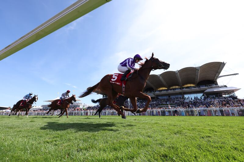 Precise ridden by jockey Wayne Lordan wins the Group Three Prestige Stakes at Goodwood on Sunday. Photograph: Steven Paston/PA Wire