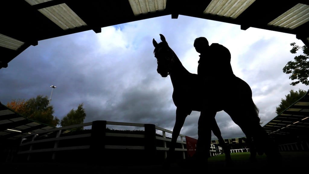 Bloodstock auctioneer Goffs plans to invest €10 million in building a 50-bedroom hotel on its property in a bid to lure tourists and racegoers.