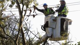 Landowner avoids jail after allowing ESB effect urgent repairs