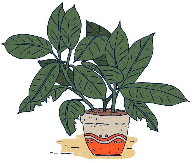 Illustration: Alan Dunne