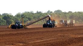 Government should remove ban on commercial peat harvesting – report