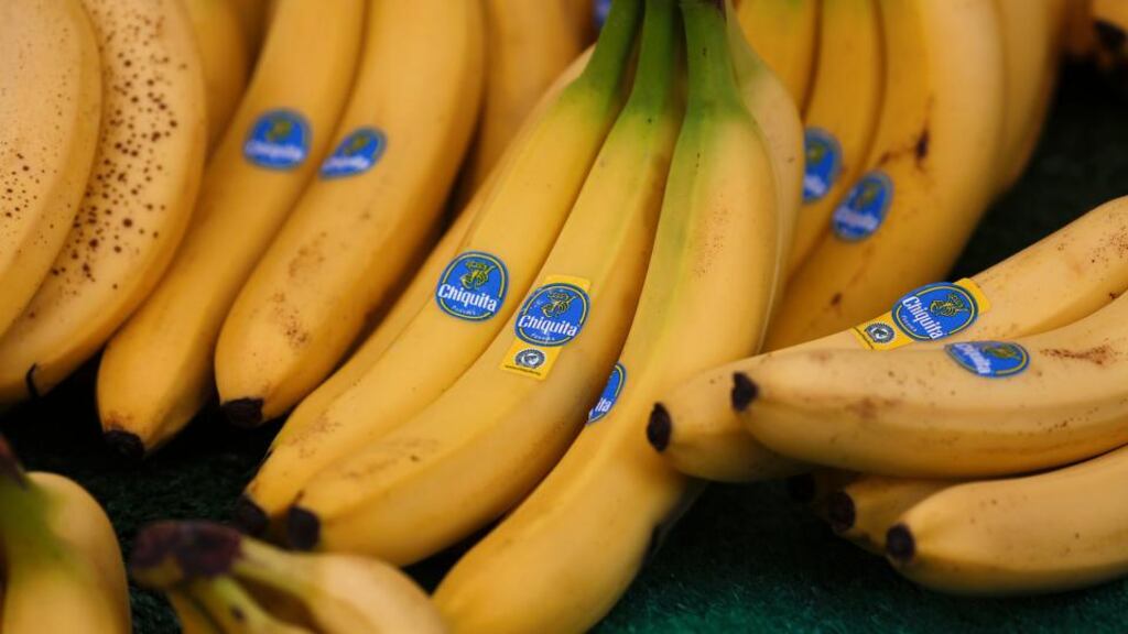 Chiquita Brands International has rejected a revised $686 million joint offer from Brazil’s Cutrale Group and Safra Group. Photo: Bloomberg