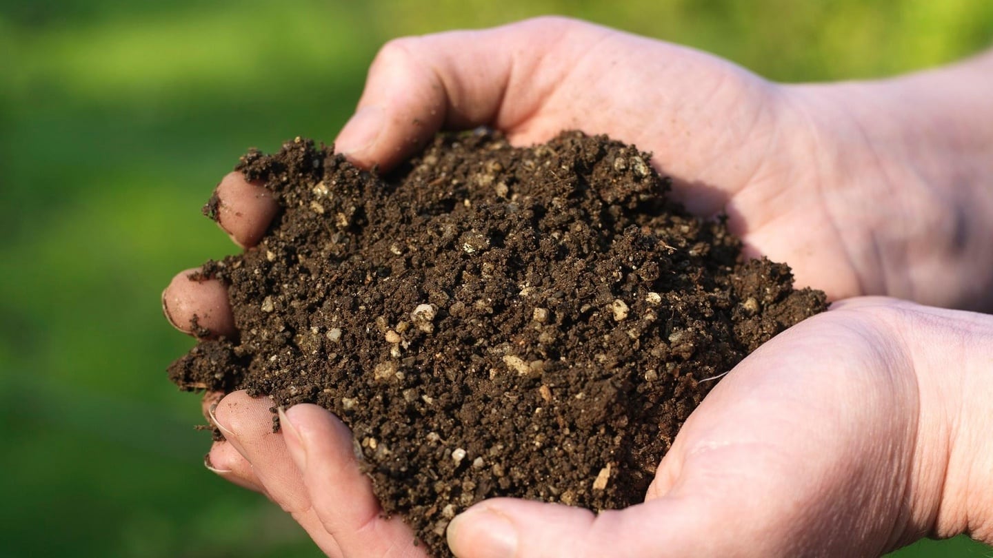 Hidden in just a teaspoon of healthy garden soil are countless naturally-occurring, beneficial micro-organisms.
