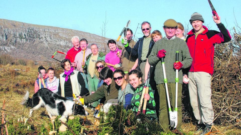 Burren conservation volunteers clearing scrub. Photograph: Brendan Dunford