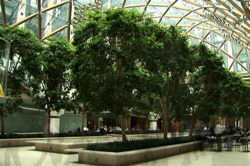 Companies harness environment to help workers smell the roses