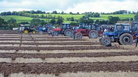 Ploughing championships leaves other festivals trailing