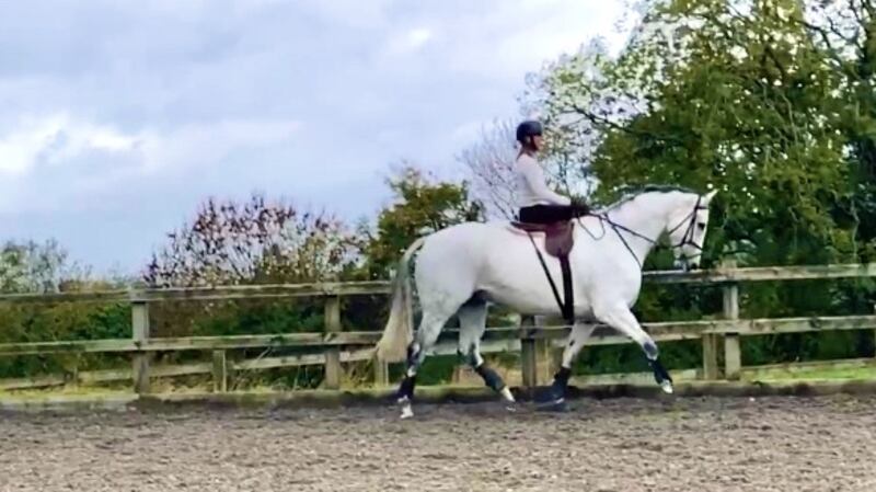 Helen Cooke: riding side-saddle