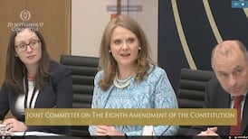 Abortion committee chair says it would be ‘prudent’ to propose referendum that will pass