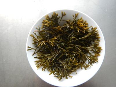 Channel wrack: A versatile, attractive seaweed rich in omega 3 fatty acids and great for cooking