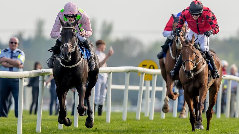 Burrows Saint being ridden to win the Irish Grand National. Paul Townend is in the saddle for the big race in France on Sunday. Photograph: Morgan Treacy/Inpho