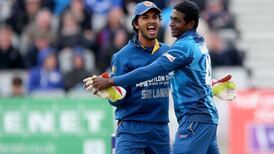 Porterfield backs Ireland to make comeback