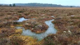 Cork rail, peatlands and retrofitting funded in €1bn EU plan