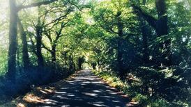 Wicklow locals concerned at plan for six-million tonne landfill