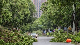 Typhoon Doksuri: Rain hits northern China as weaker storm rolls inland