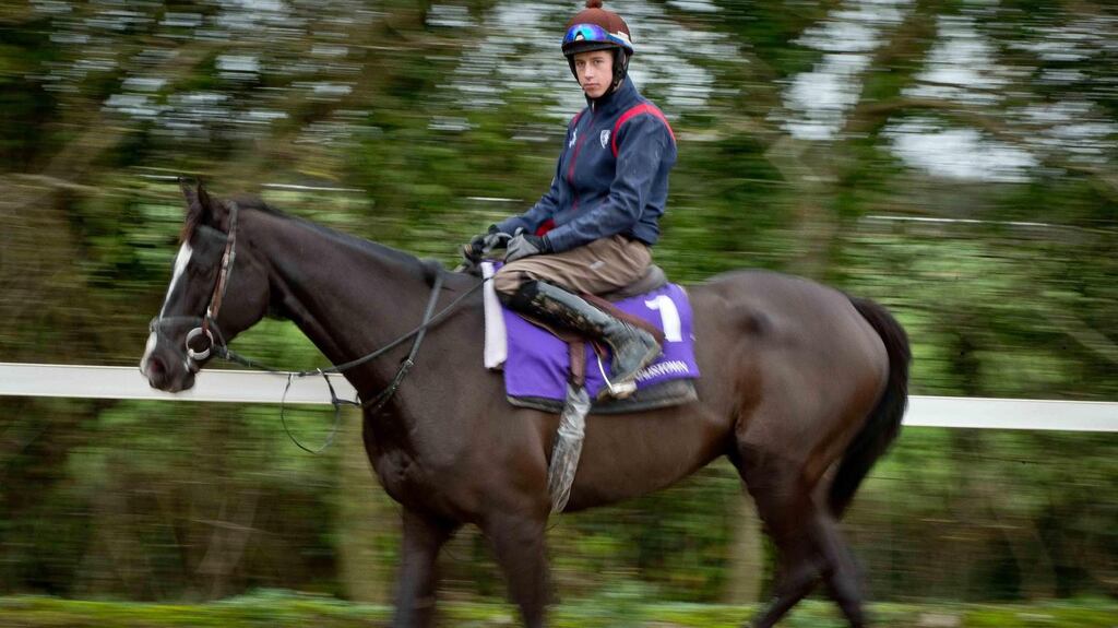 Bryan Cooper is Kempton-bound with King George favourite  Don Cossack, but hopes to open his festive season account at Clomel today.  Photograph: Morgan Treacy/INPHO