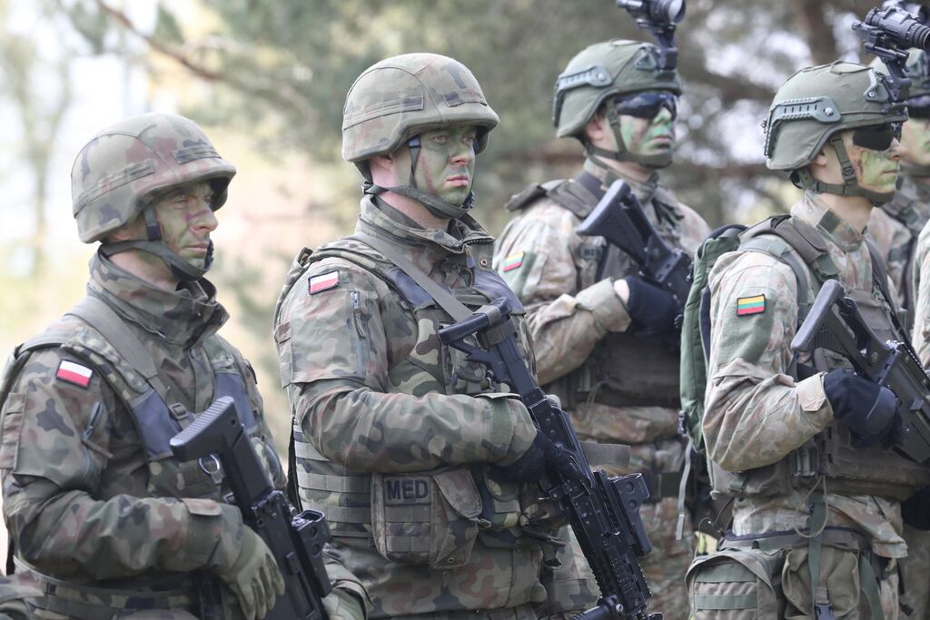 "Dhealrófaí duit go dtuismíonn cuid mhór de phlé na huaire in ubh ghlogair an chogaidh fhuair."  Grianghraf: Petras Malukas/Getty