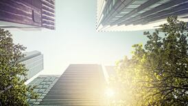 Trees: A crucial lifeline for the climate emergency