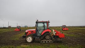 Japan loves robots, but human work is not easy for them