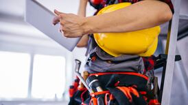 John FitzGerald: Challenges to the Irish labour market