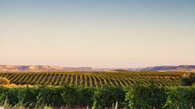 Watch out, Rioja – you have a rival