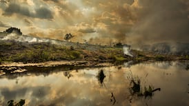 Venezuelan ‘daughter of the forest’ tells Taoiseach all lives depend on their protection