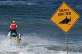 Man dies in shark attack at Sydney’s northern beaches