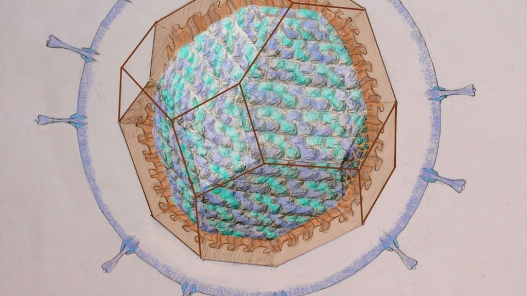 A figure illustrating the polyhedral pattern (a truncated octahedron)  within coronavirus