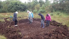 A Dutch expert: ‘Irish bogs are extraordinarily valuable’