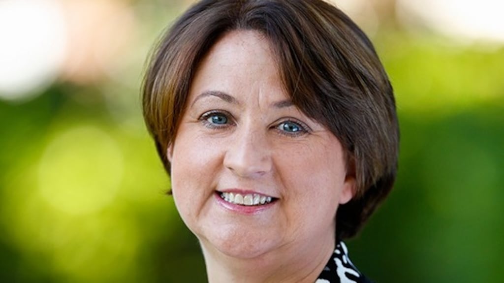 Anne Rabbitte’s campaign focused on affordable childcare, greater support for agriculture and rural crime