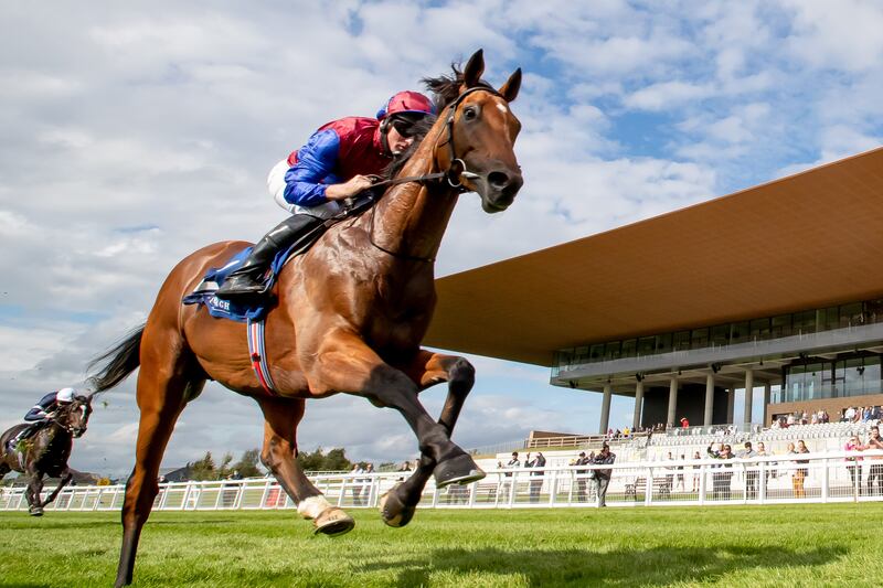 Luxembourg's connections appear satisfied the Camelot colt can finally start to deliver on his potential. Photograph: Morgan Treacy/Inpho