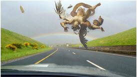 Broken Irelands: Literary Form in Post-Crash Irish Fiction — A book crammed with compelling but elusive ideas