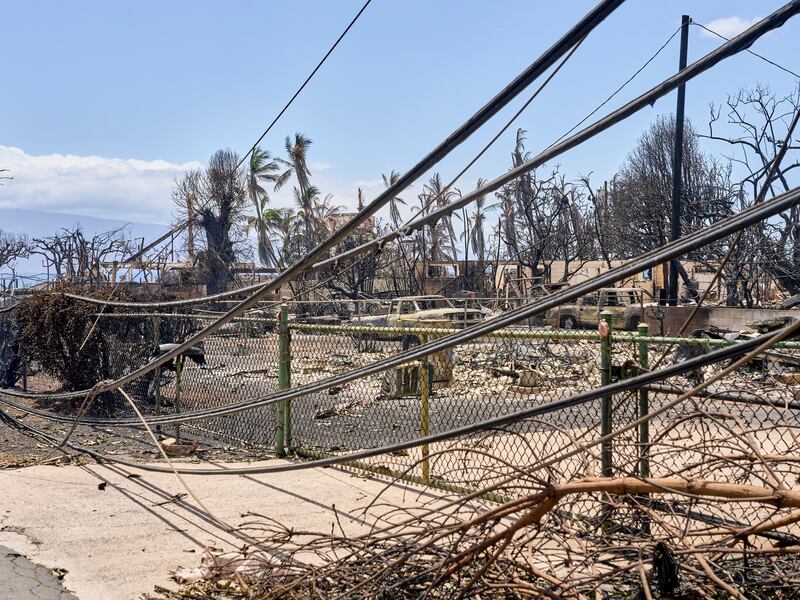 Properties destroyed by wildfires in Lahaina, Maui, Hawaii. Photograph: Philip Cheung/The New York Times