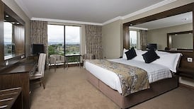 Court urges family to make efforts to mediate in dispute over hotel business