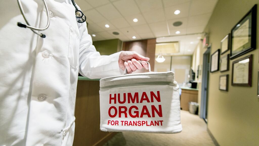 More than 3,500 people are alive in Ireland thanks to a successful organ transplant, having benefited from the increased life expectancy and enhanced quality of life the procedure can bring. Photograph: iStockphoto