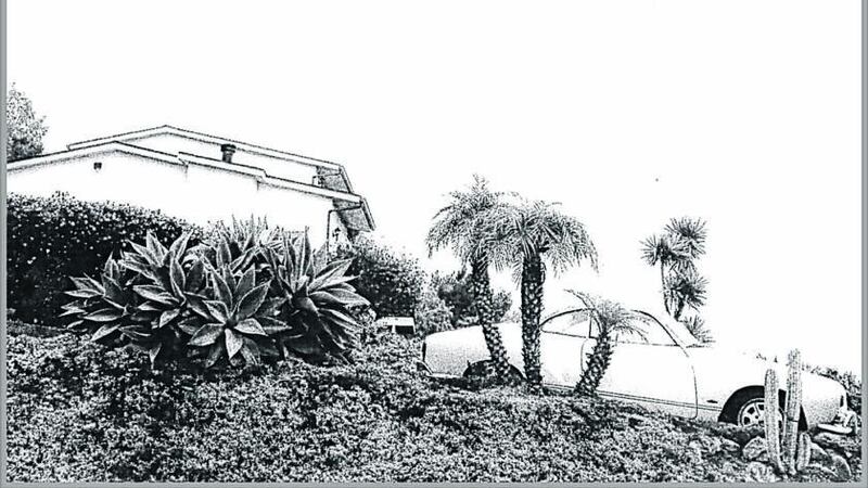 Timber Timbre: Hot Dreams