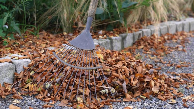 The autumn tidy-up. Photograph: Richard Johnston
