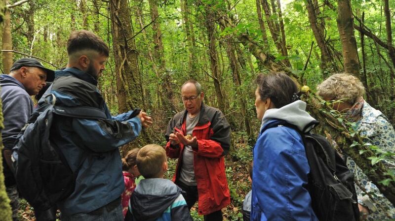 Foraging for the Westport Foodie Fest.