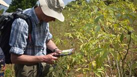 Shifting rainfall patterns a growing threat to farming in sub-Saharan Africa