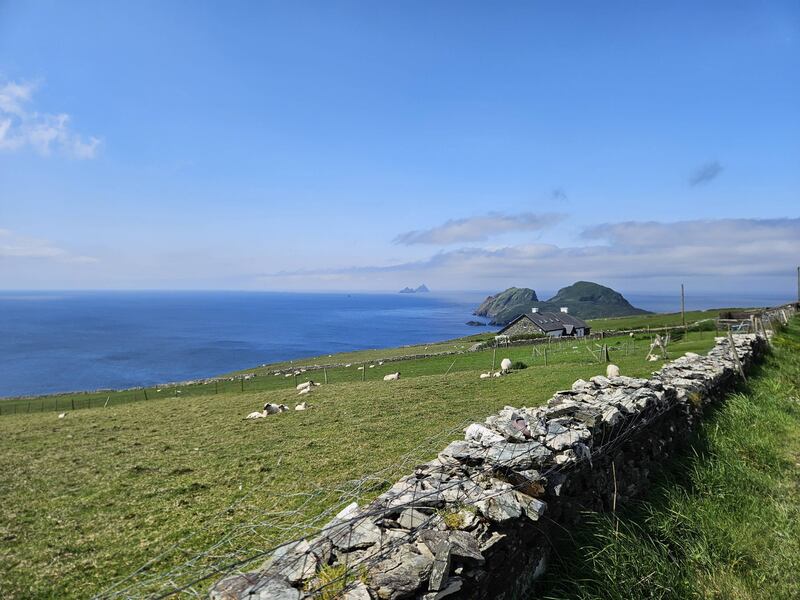 A dry stone wall at along the Skellig Coast, Co Kerry