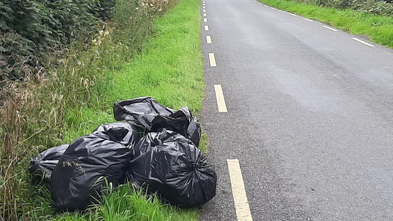 Rubbish bags dumped on the roadside recently near Kilcock, Co Kildare.