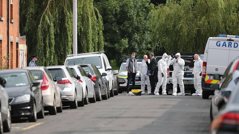 Gardaí responded at around 11pm to calls that a number of men were attempting to break-in. Photograph: Nick Bradshaw